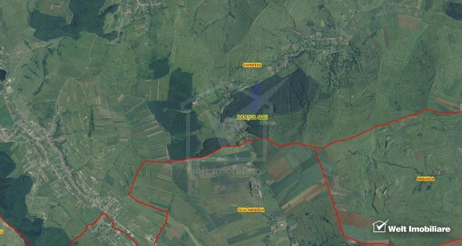 29.000 mp padure in Padureni (Chinteni), 100% material lemnos - 1