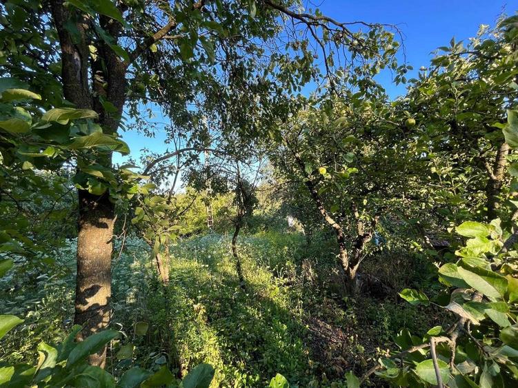 Casa cu Teren Extins Liniste, Natura si Spatiu Generos - 7