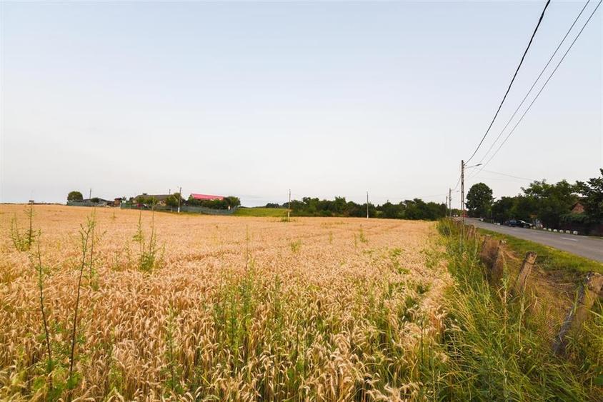 RECO Teren intravilan pentru casa 1000 mp Lazareni - 7