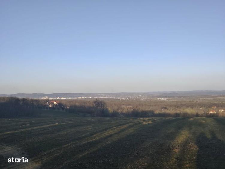 Teren extravilan Rasinari, zona Tropinii Noi - 1