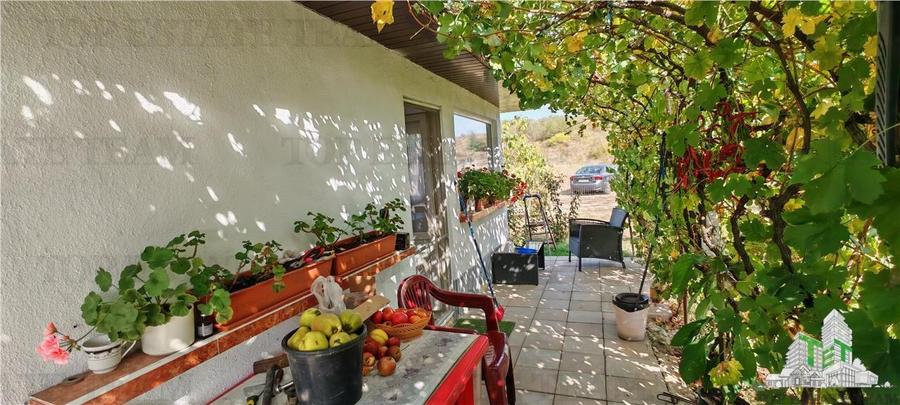 Ferma 3,3ha, din care 2,5ha intravilan, vila 7 camere, D+P+E+M, casa pentru munc - 5