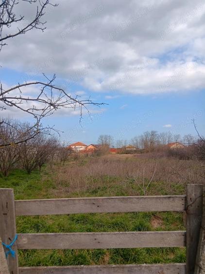De vanzare Casa la ?ara in sat Tariverde, com. Cogealac, jud. Constan?a - 8