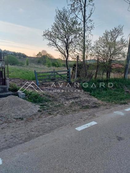 Teren intravilan 1800 mp – Șutu, comuna Ciurila - 4