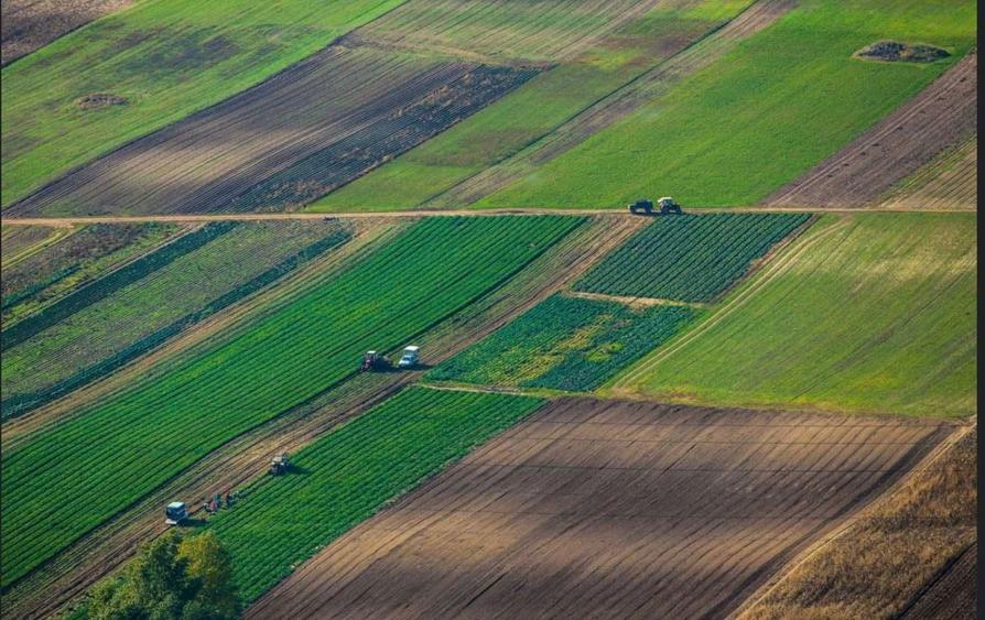 Teren agricol 6,2 ha in comuna Fantanele -Jud Iasi - 2
