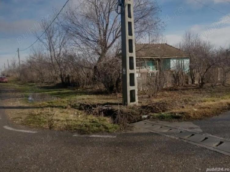 Oferta PASTE Casa Batraneasca Buzau - 2