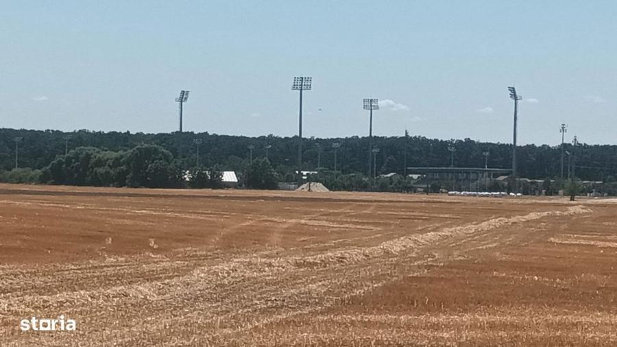 Teren Intravilan Buftea langa Autostrada A0 - ideal hale industriale - 6