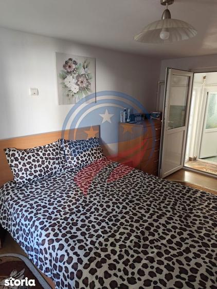 Casa cocheta la 30 minute de Craiova- Corni?a Dolj - 7