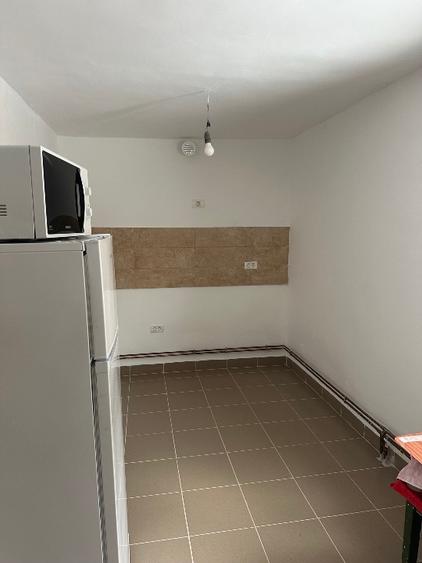 Proprietate cu 2 case in Gura Văii– la doar 10 km de Dr. Tr. Severin - 7