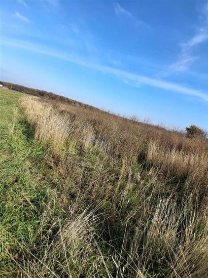 RECO Teren Intravilan Apateu - 2