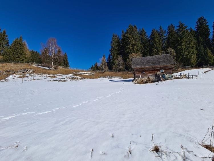 Teren situat langa padure de Vanzare - 4