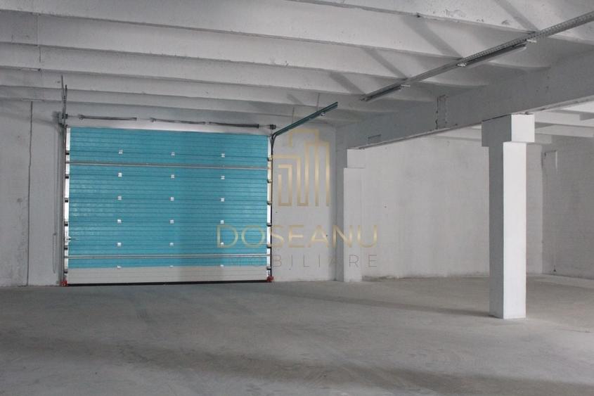 SPATIU INDUSTRIAL - HALA | LES | BIHOR - 5