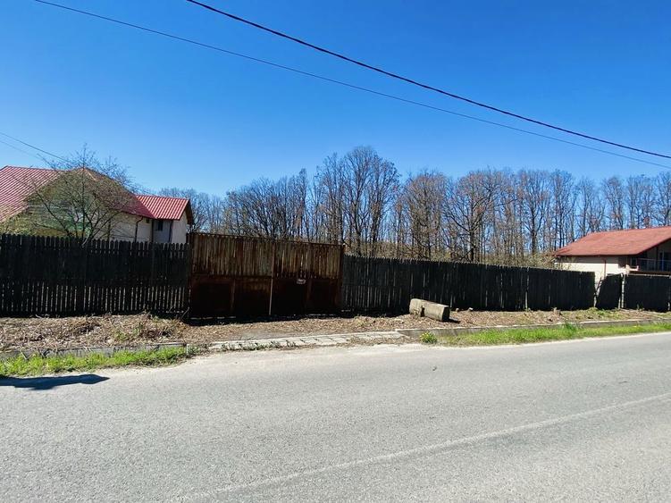 Teren de vis langa Pitesti - 3