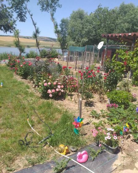 HORIA - 3 CAMERE ,SUPRAFATA 100 MP,TEREN 3000 MP CU DESCHIDE - 8