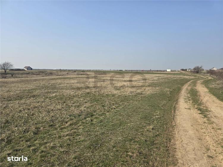 RECO Teren Grigorescu - 3