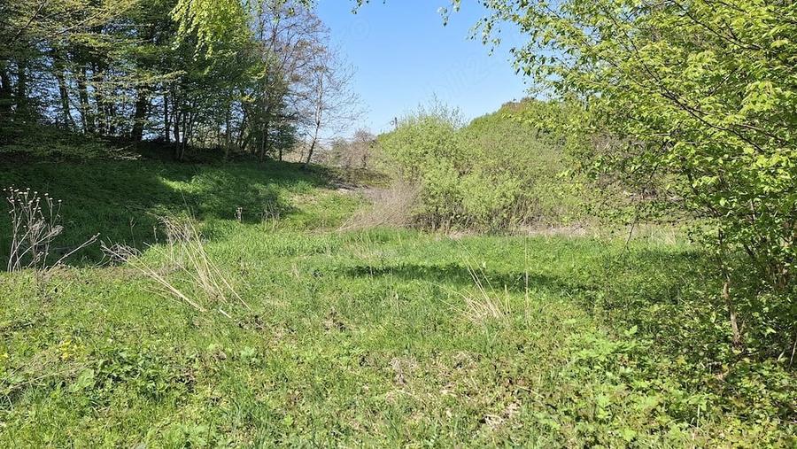 Teren de 3200 mp, în Viștișoara