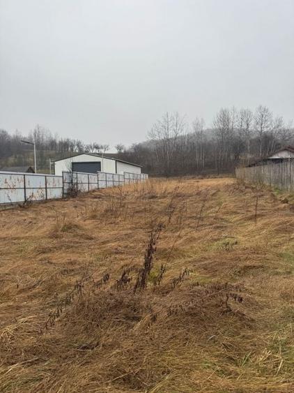Teren Construcții intravilan de 1758 mp, în Drăganu-Olteni