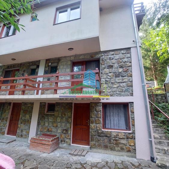 Spațiu comercial, de 450 mp, în Lepșa