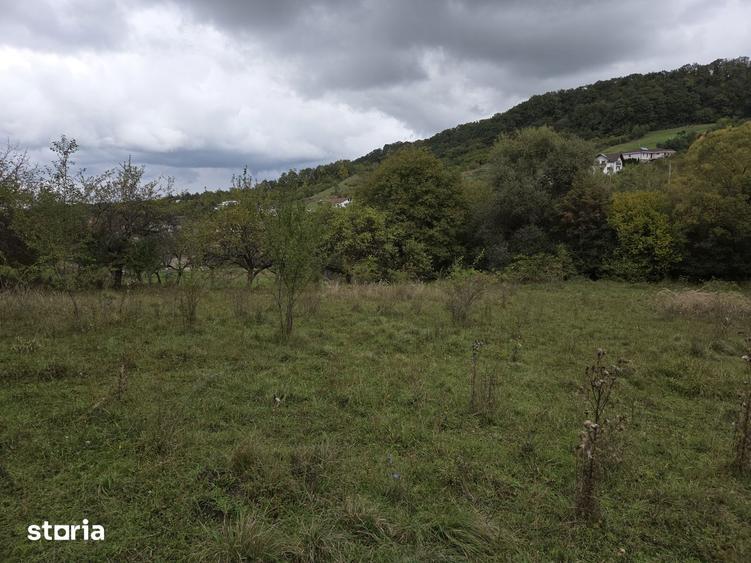 Teren de 5850 mp, în Central