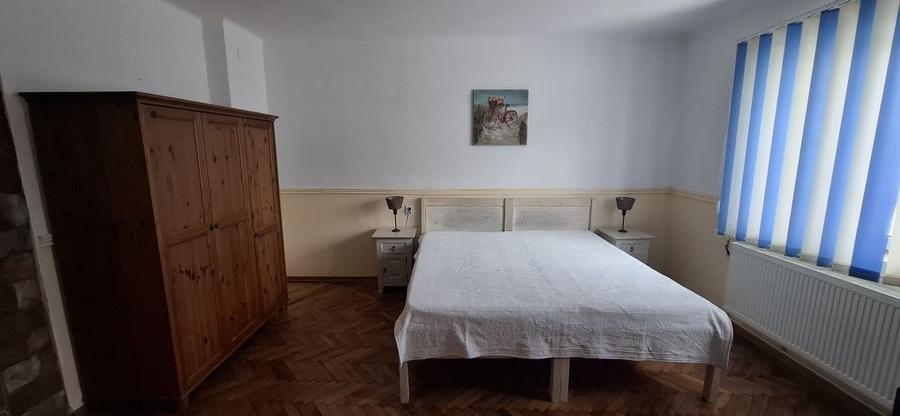 casa saseasca singur curte Cristian central - 6