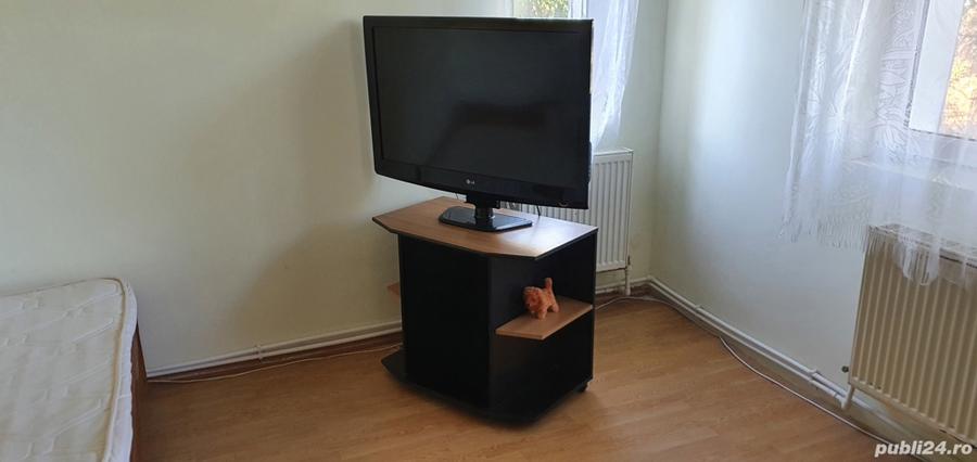 Vila de inchiriat - 4