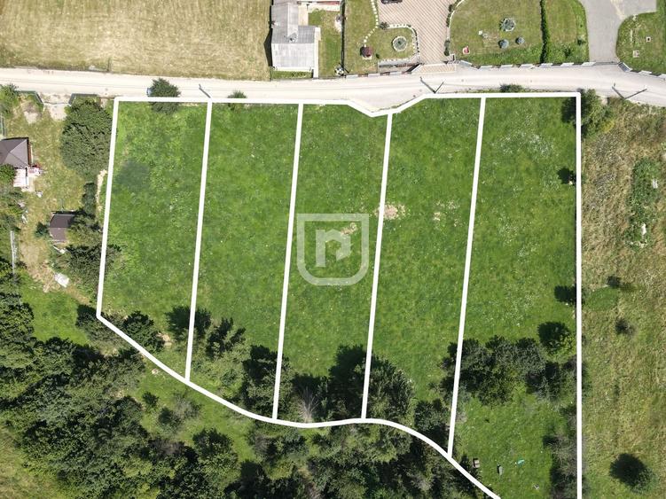 Teren INTRAVILAN Gura Humorului Arinis Bucovina - 1