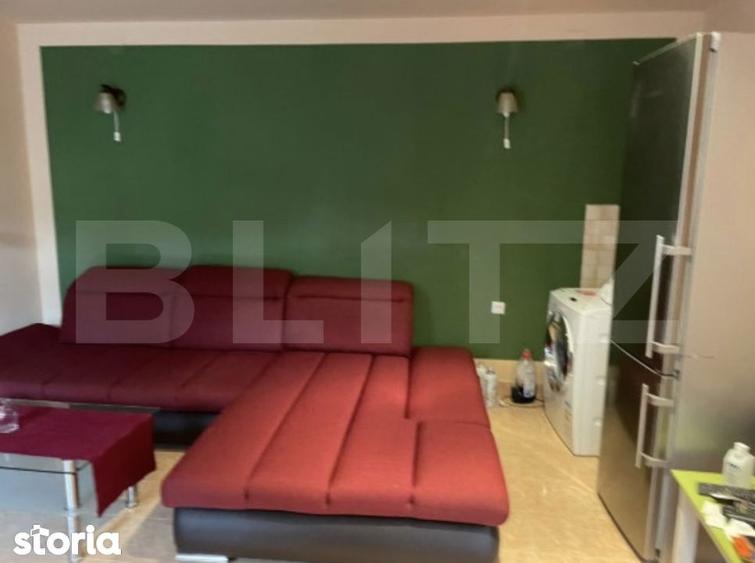 Pensiune deosebita in inima Muntilor Dacici investitie premium in - 3