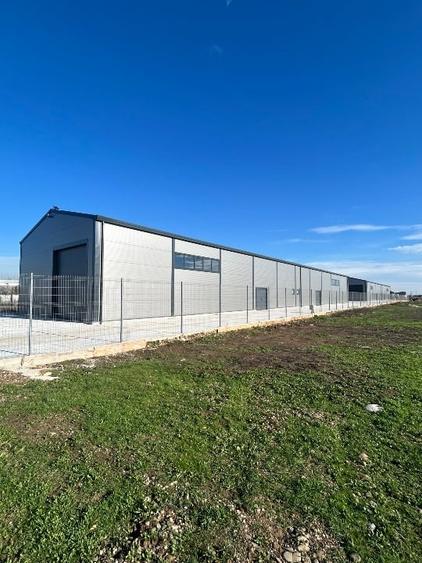 hale de inchiriat/spatiu depozitare sos.Bucuresti-Magurele - 1