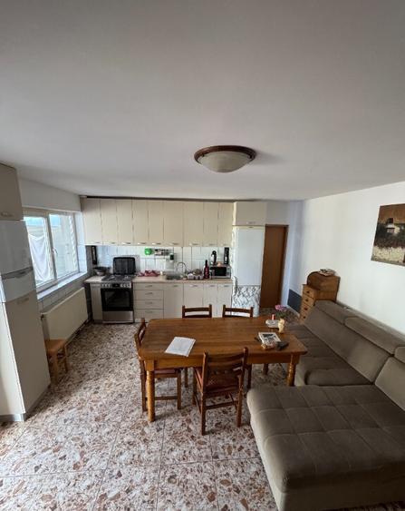 Vand vila in Roman zona buna - 1