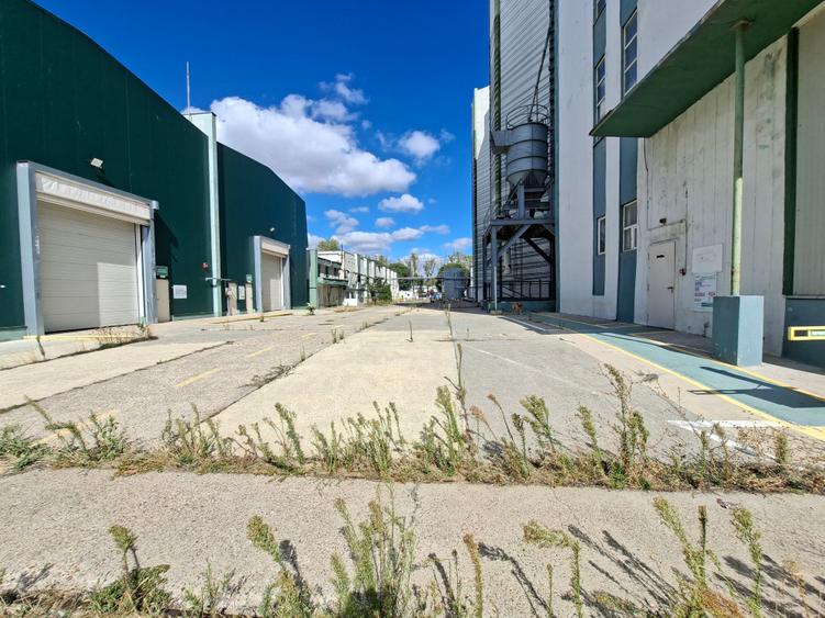 Hala de inchiriat 795 mp - 3