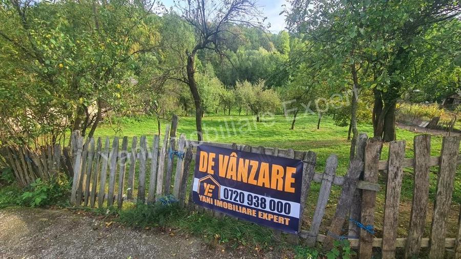 Teren de vanzare in comuna Arefu, sat Arefu, jude? Arge?. - 4