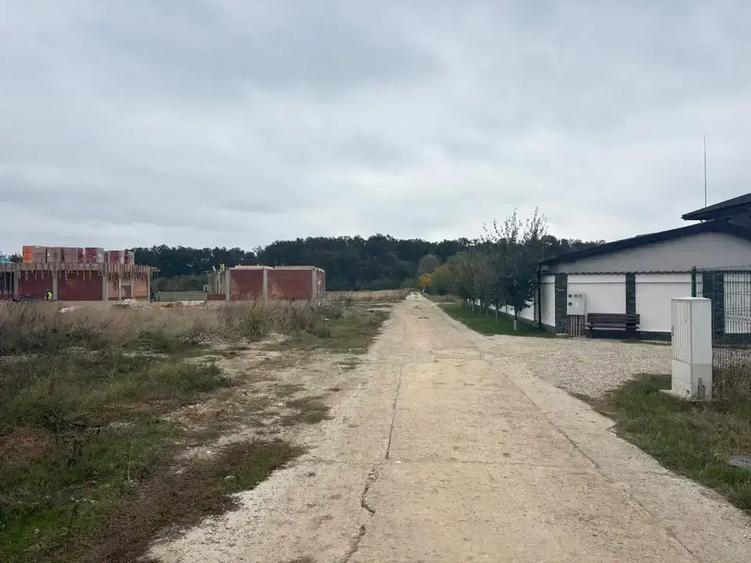 Oportunitate Teren Case Individuale sau Duplexuri Padurea Cernica 300m - 2