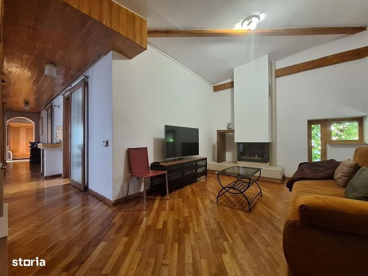 Rare Artist's Loft and Studio/ Atelier open space - 15