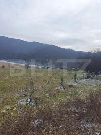 Oportunitate!!!! TEREN INTRAVILAN CU SUPRAFATA DE 5200 MP - 3