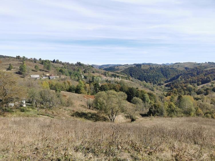 Valea Verde, Comuna. Sohodol, Judetul Alba