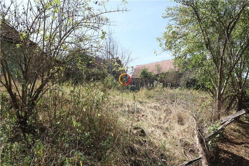 casa traditionala Bruiu Somartin judet Sibiu - 8