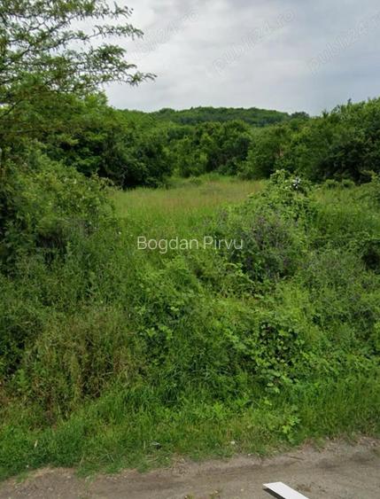 Teren intravilan extravilan in Draga?ani , str Regele Ferdinand