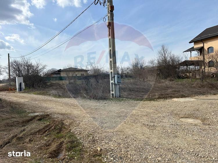Vanzare Teren Izvorani / Strada Gradinarilor/Complex Olimpic - 10
