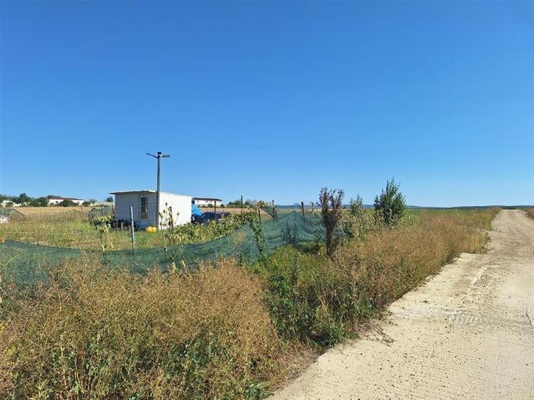 Reco, Teren intravilan Osorhei - 3