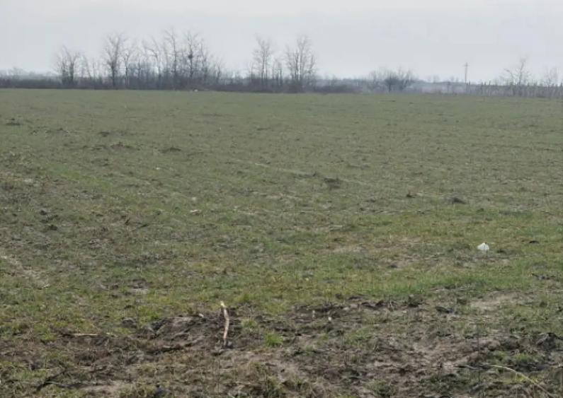 Teren de 9000mp, la intrarea in Filiasi ,la 300m de str. Rac - 1