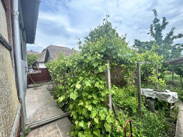 Casa de vanzare | Zau de Campie - 3