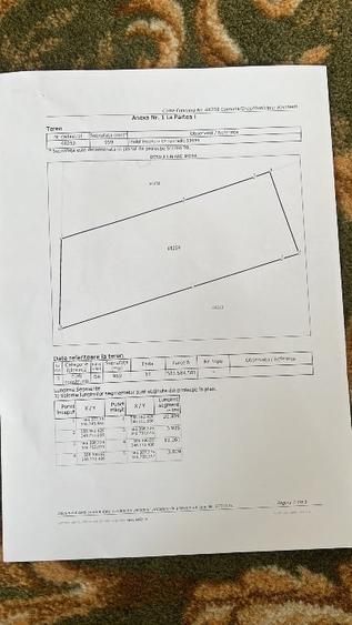 Proprietar Teren 960mp Balotesti Tarina Veche - 4