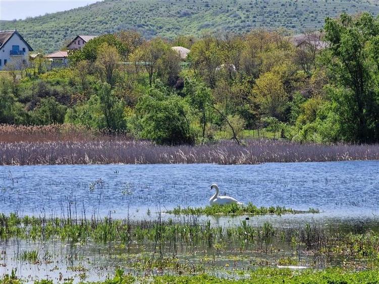 Teren cu deschidere la lac de vanzare in localitatea Somova Tulcea - 3