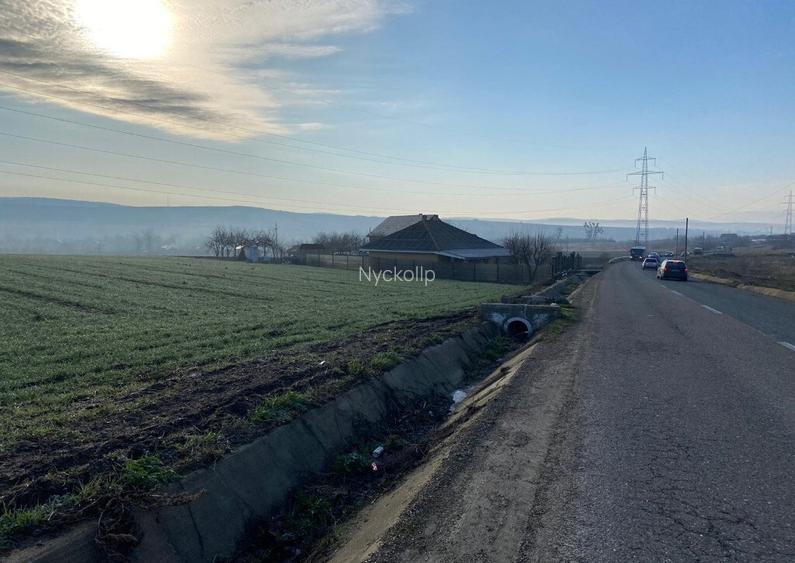 Teren 19201 mp- Valea Satului, com. Grajduri, jud. Iasi
