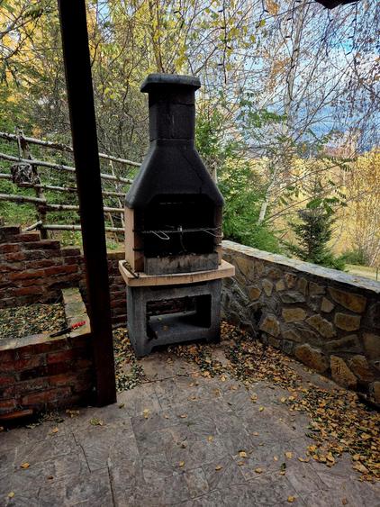 Casa de poveste in satul Pestera, Moeciu Brasov - 32