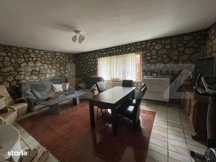 Pensiune deosebita in inima Muntilor Dacici investitie premium in - 8