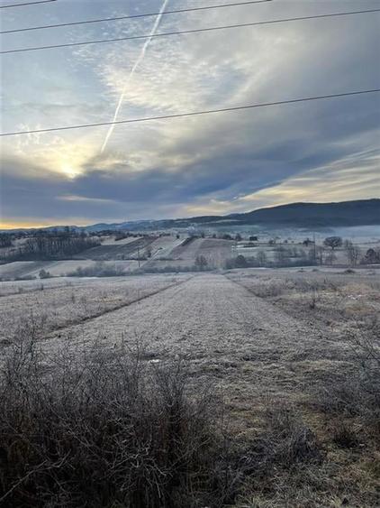 RECO teren Vadu Crisului - 1