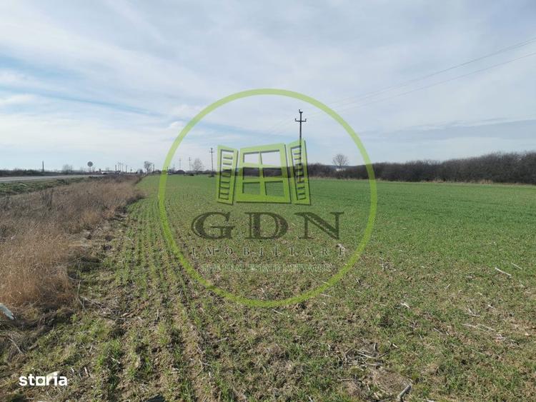 Teren extravilan de vanzare in Sacadat, 21.496 mp, cu deschidere de 42 - 1