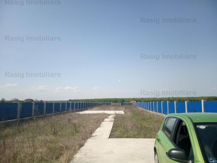 Teren intravilan 1187 mp , strada asfaltata , utilitati - 5