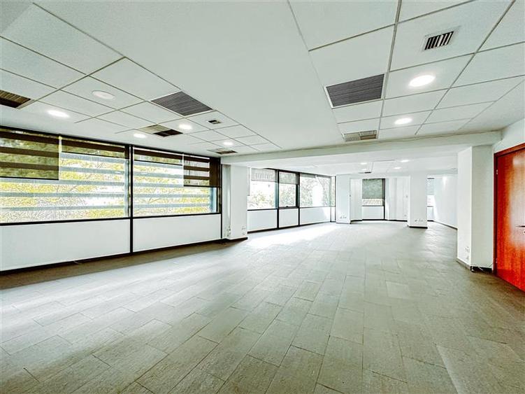 Piata Victoriei | Titulescu | de la 150 mp - 3