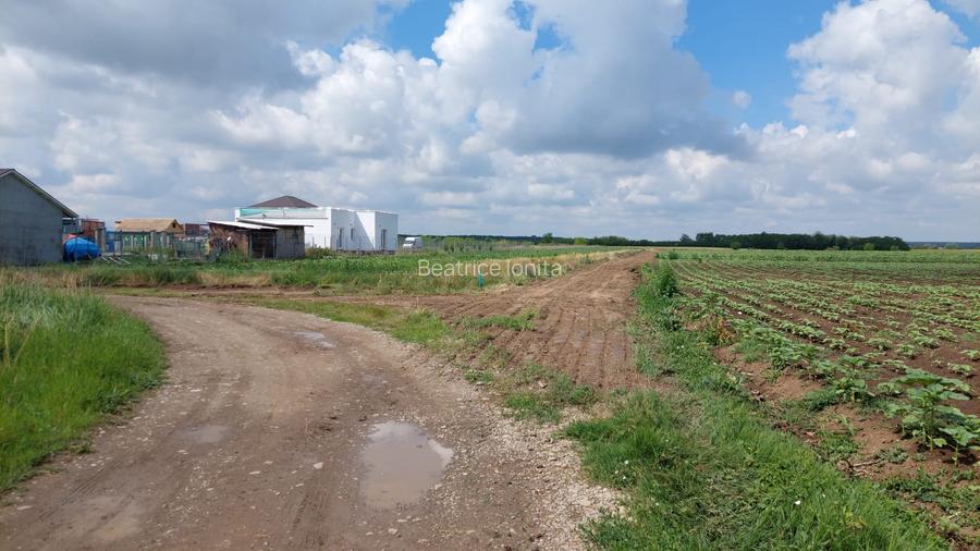 Teren constructii Corbeanca